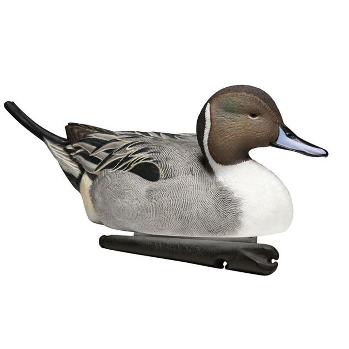 Pintail Duck Decoys (6 Pcs)